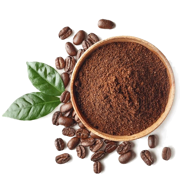 کافه حضرتی