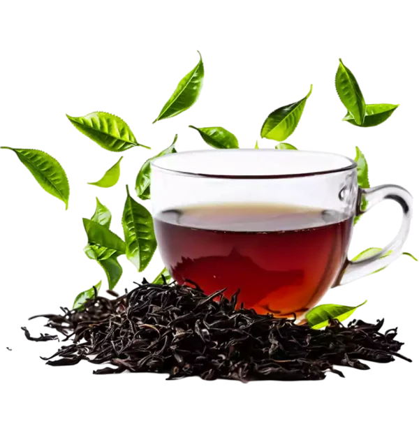 چای خشک 1 - صفحه اصلی چای خشک 1